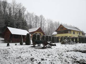 Фото Гостевой дом Pensiunea Racova г. Botoşana 4